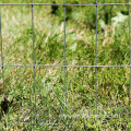 14 gauge welded Wire fence